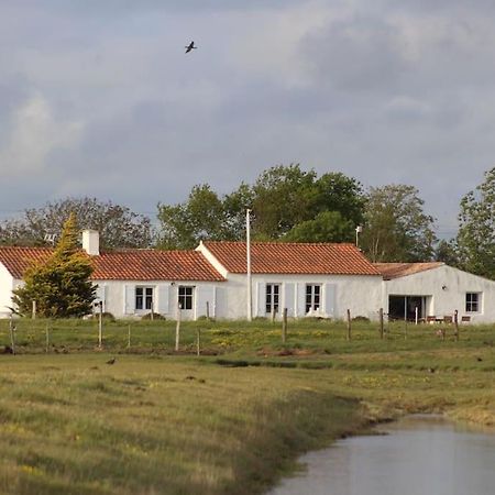 Bouin  Maison De Charme Au Coeur Des Marais Pour 6 Pers. מראה חיצוני תמונה