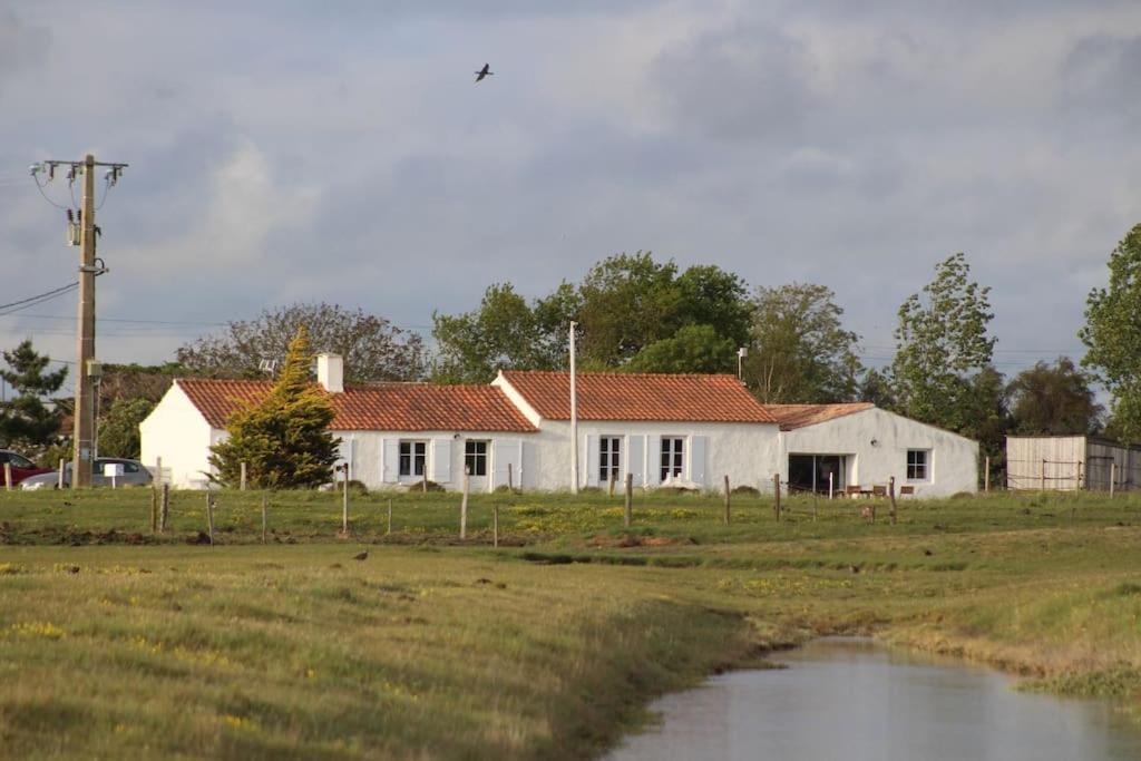 Bouin  Maison De Charme Au Coeur Des Marais Pour 6 Pers. מראה חיצוני תמונה